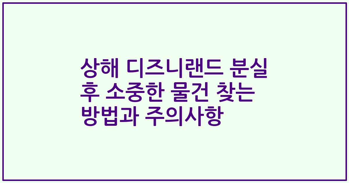 상해 디즈니랜드 분실 후 소중한 물건 찾는 방법과 주의사항